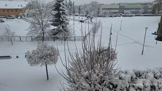 Zima w Krośnie (Podkarpackie)