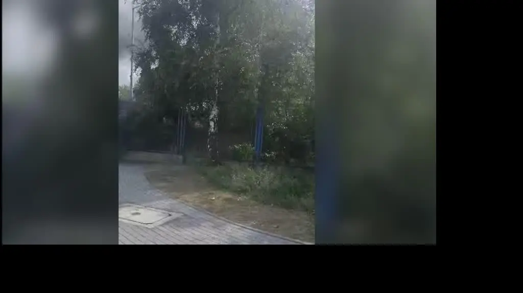 12c1dfab-8cca-4e75-85ad-ed224414b65a_1009_pozarGDA