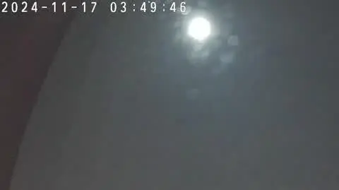 1e18269c-30a7-4e44-92d8-77ed6c0b702b_blysk