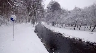 Polski biegun zimna, Suwałki 