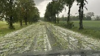 Trasa Raciąż - Drobin, 5.06, około g. 11