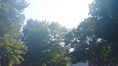 ad67284d-ddf3-496b-b0be-c186161e783d_lebork_godzinaw