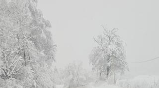 Lesko (Podkarpackie)