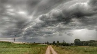 Chwilę przed burzą, Siemiony