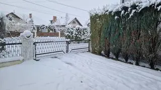 Wólka Podleśna (Podkarpackie)