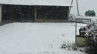 Tarnów (Małopolskie)