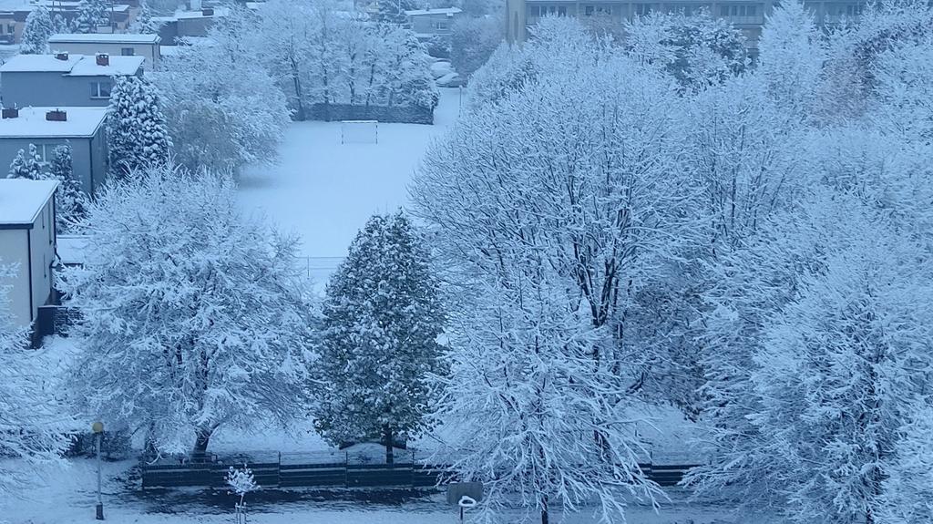 Rybnik woj. śląskie 