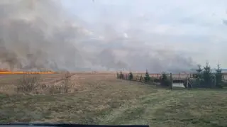 Pożar w Biebrzy, Krasnybór