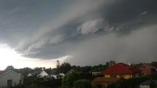 Ścinawa