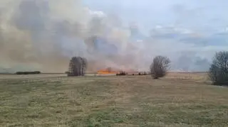 Pożar w Biebrzy, Krasnybór
