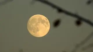 Superpełnia Bobrzego Księżyca