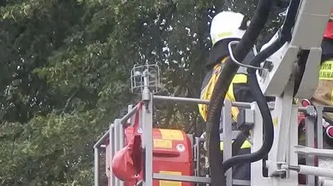 9dc62d3f-72d9-4e03-8f8f-8d8f46ba13e7_DSCN3595