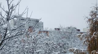 Dziś o poranku w Legnicy 