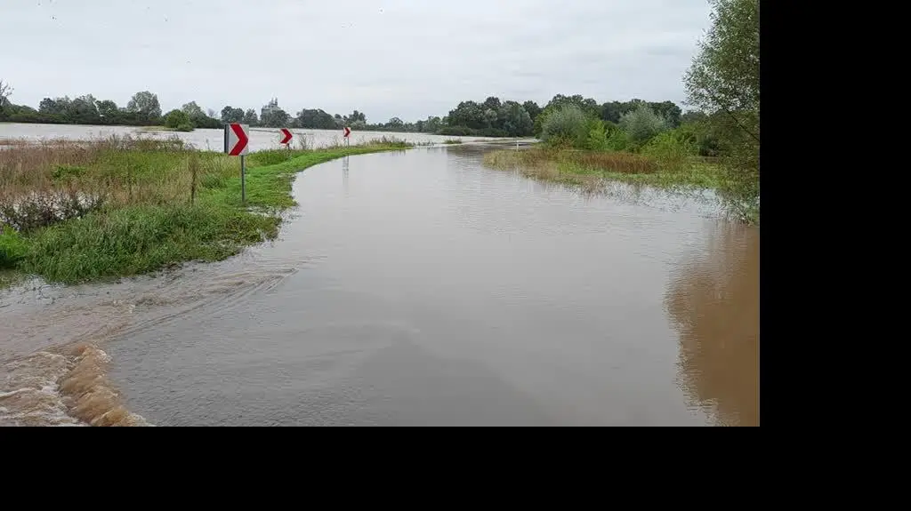 f3e40404-dfde-4df3-88e1-8730c72b0e6b_VID_20240915_091450