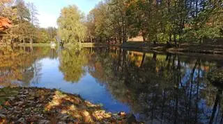 Wszystkich Świętych w jesiennej scenerii