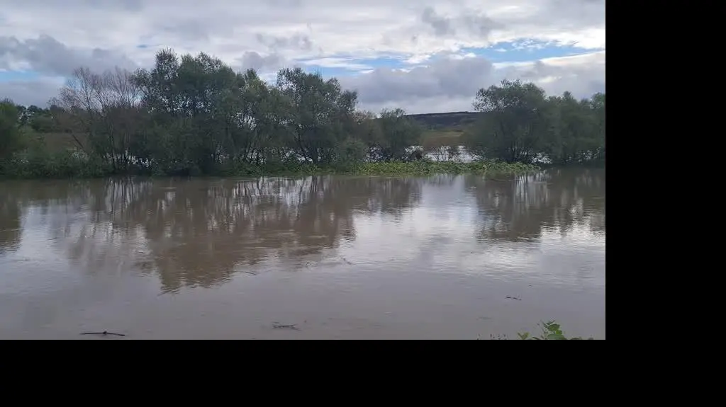 576c4b40-e960-4d57-b0d1-73c652570770_20240915_082451