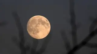 Superpełnia Bobrzego Księżyca