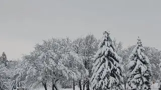 Zimowy krajobraz, Krosno (Podkarpackie)