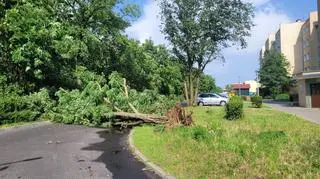 Skutki dzisiejszej burzy, która przeszła nad Piłą (Wielkopolskie)