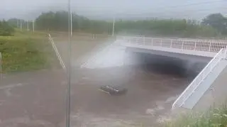 Dąbrowa Górnicza