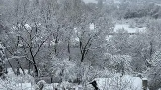 Śnieg w Przemyślu (Podkarpackie)