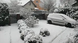 Śnieg w Leżajsku (Podkarpackie)