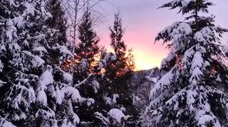 Bielsko-Biała (Śląskie)