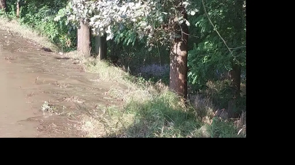 b569e3a7-95ce-424d-b39b-3b4898b7e12a_inbound4474133824771679784