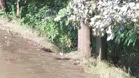 b569e3a7-95ce-424d-b39b-3b4898b7e12a_inbound4474133824771679784