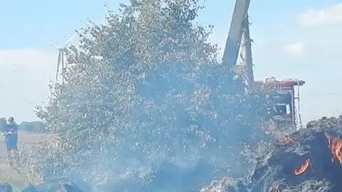 a1872e05-7e82-49bb-82e4-76de1d951db3_DSCN2505