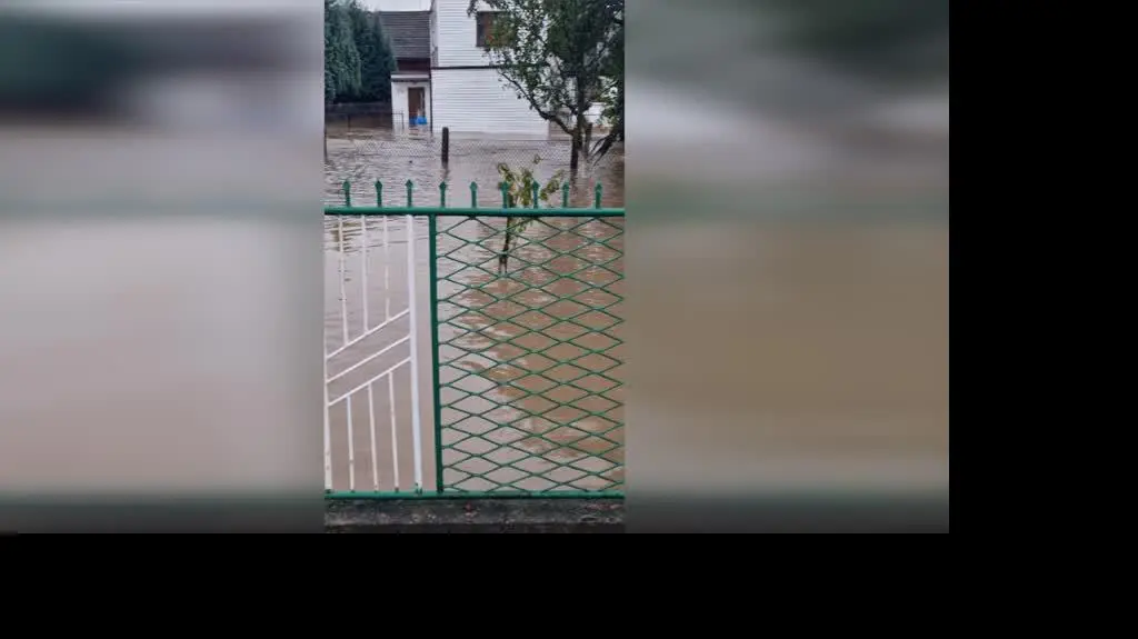 12e4fb78-07a2-4832-b9c8-c559212a0491_lubomia