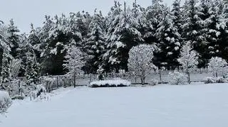 Zawierzbie koło Dębicy (Podkarpackie)