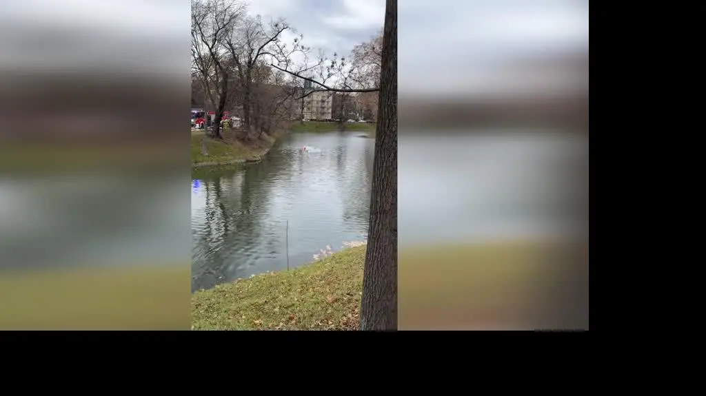 7b695077-1e7b-424f-9214-252c5bd346c5_dpd