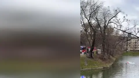 7b695077-1e7b-424f-9214-252c5bd346c5_dpd