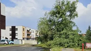 Skutki dzisiejszej burzy, która przeszła nad Piłą (Wielkopolskie)
