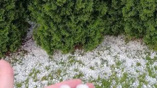 Grad w okolicach Zgorzelca, w miejscowości Trójca 