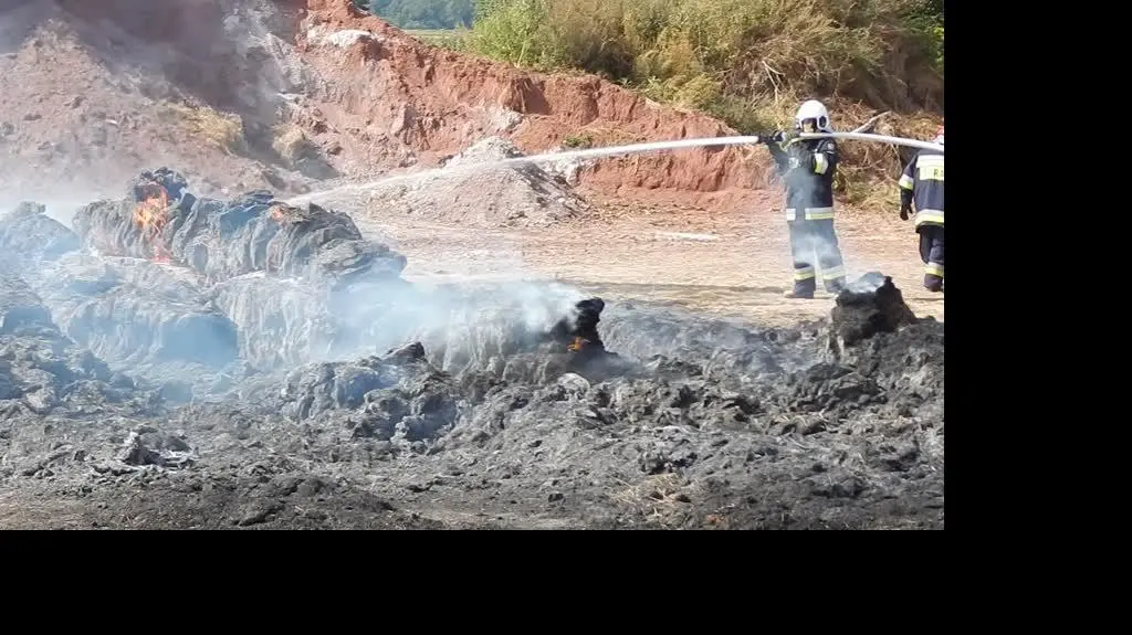 94e67ebe-d856-493c-b85e-a42fafaffa38_DSCN2620