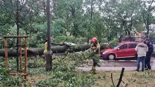 Burza w Warszawie, Praga Północ 