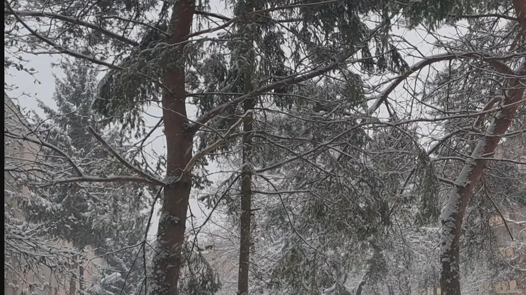 Opady śniegu w Radomiu (Mazowieckie)