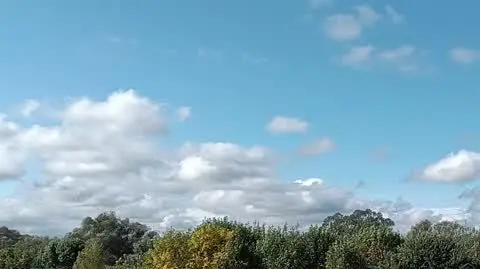 09edc80b-6516-43d3-af9f-3167e6e81149_VID20240915104606