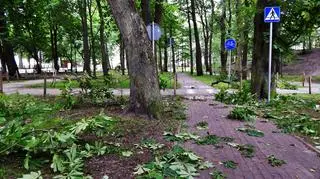 Sztorm na Bałtyku i skutki silnego wiatru w Ustce