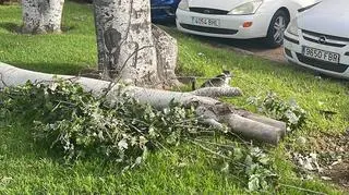 Puste sklepy i korki na ulicach w Walencji 