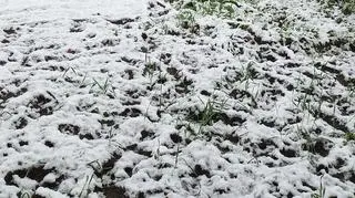 Pogodowa niespodzianka w Białogardzie