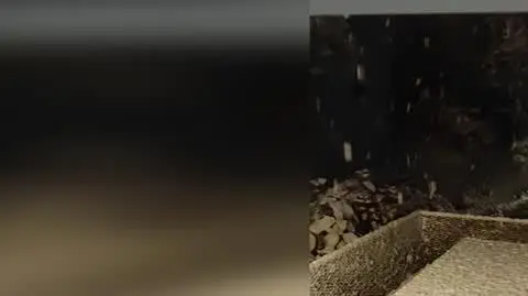 3a3e2bd9-3b48-41cf-938a-3adfbdd8678e_pogodowe