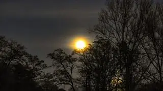 Bobrzy Superksiężyc, Dąbrowa Tarnowska (Małopolskie)