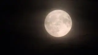 Pełnia Koźlego Księżyca zza chmur, 	
Ornontowice (Śląskie)