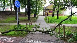 Sztorm na Bałtyku i skutki silnego wiatru w Ustce