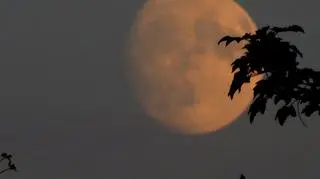 Piękny księżyc dążący do najbliższej pełni