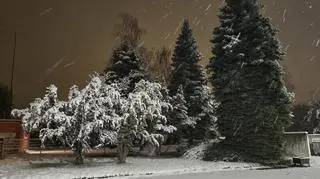 Zima dotarła do  Dzierżoniowa