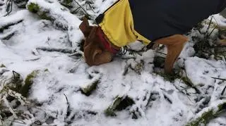 Zima, Przemyśl nad Sanem (Podkarpackie)